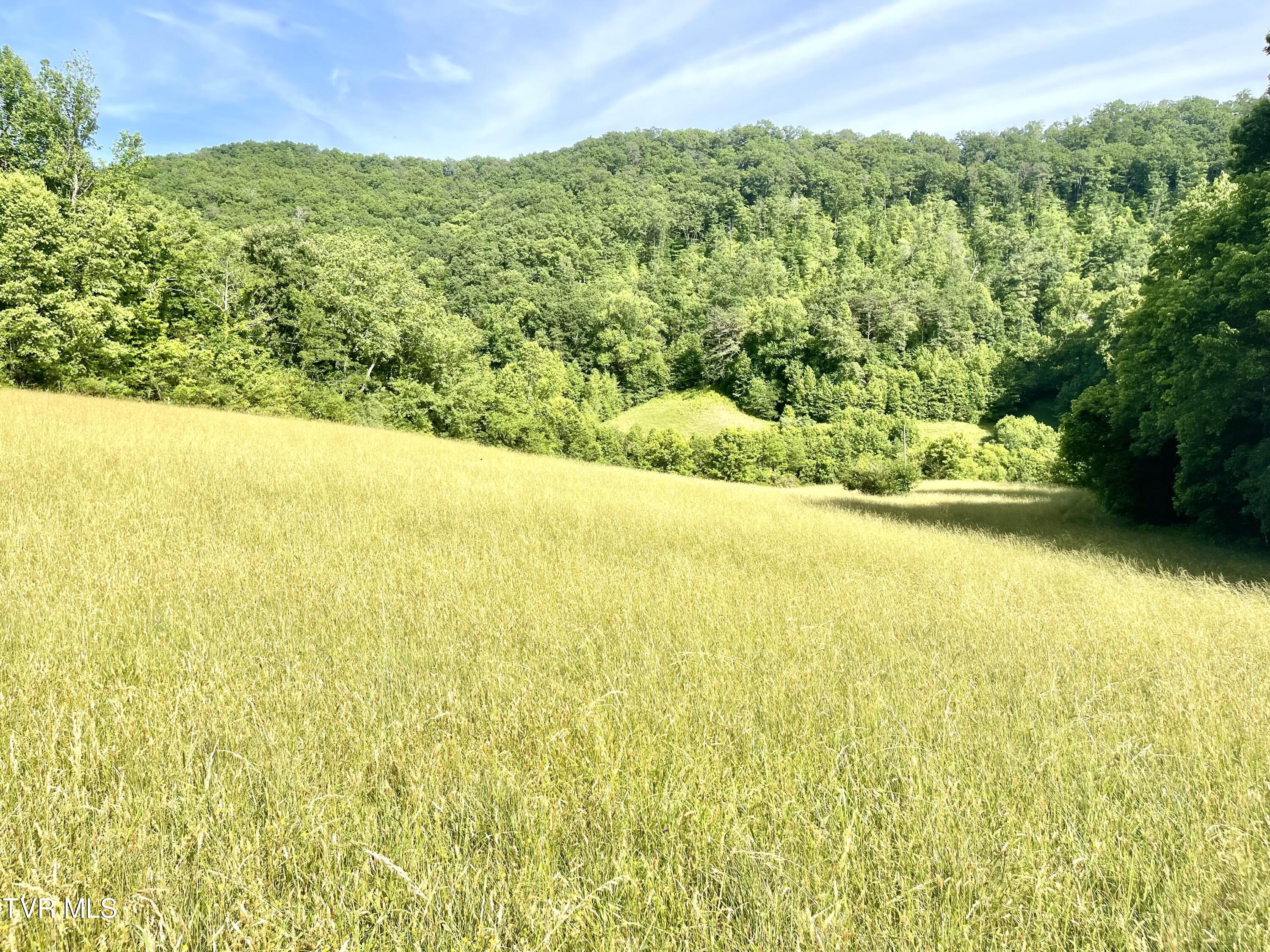 3323 Mendota Road Mendota, VA 24270 - Photo 26 of 85 image_50404097 (2)
