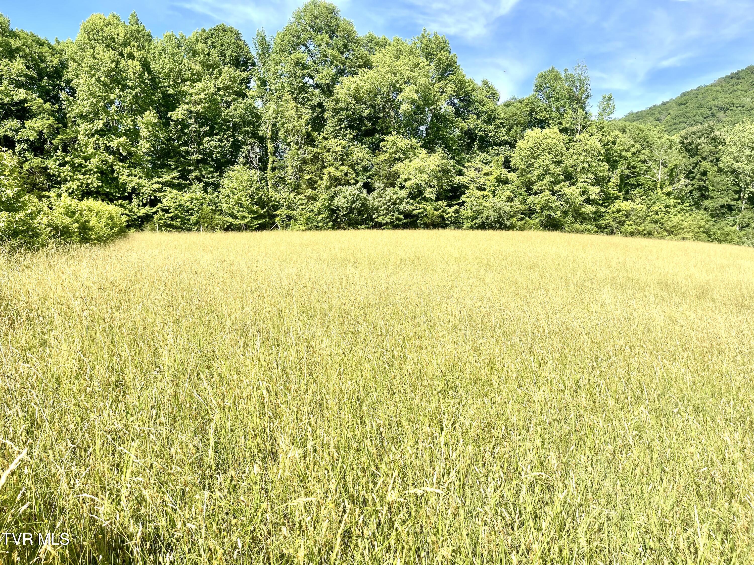 3323 Mendota Road Mendota, VA 24270 - Photo 27 of 85 image_50446849