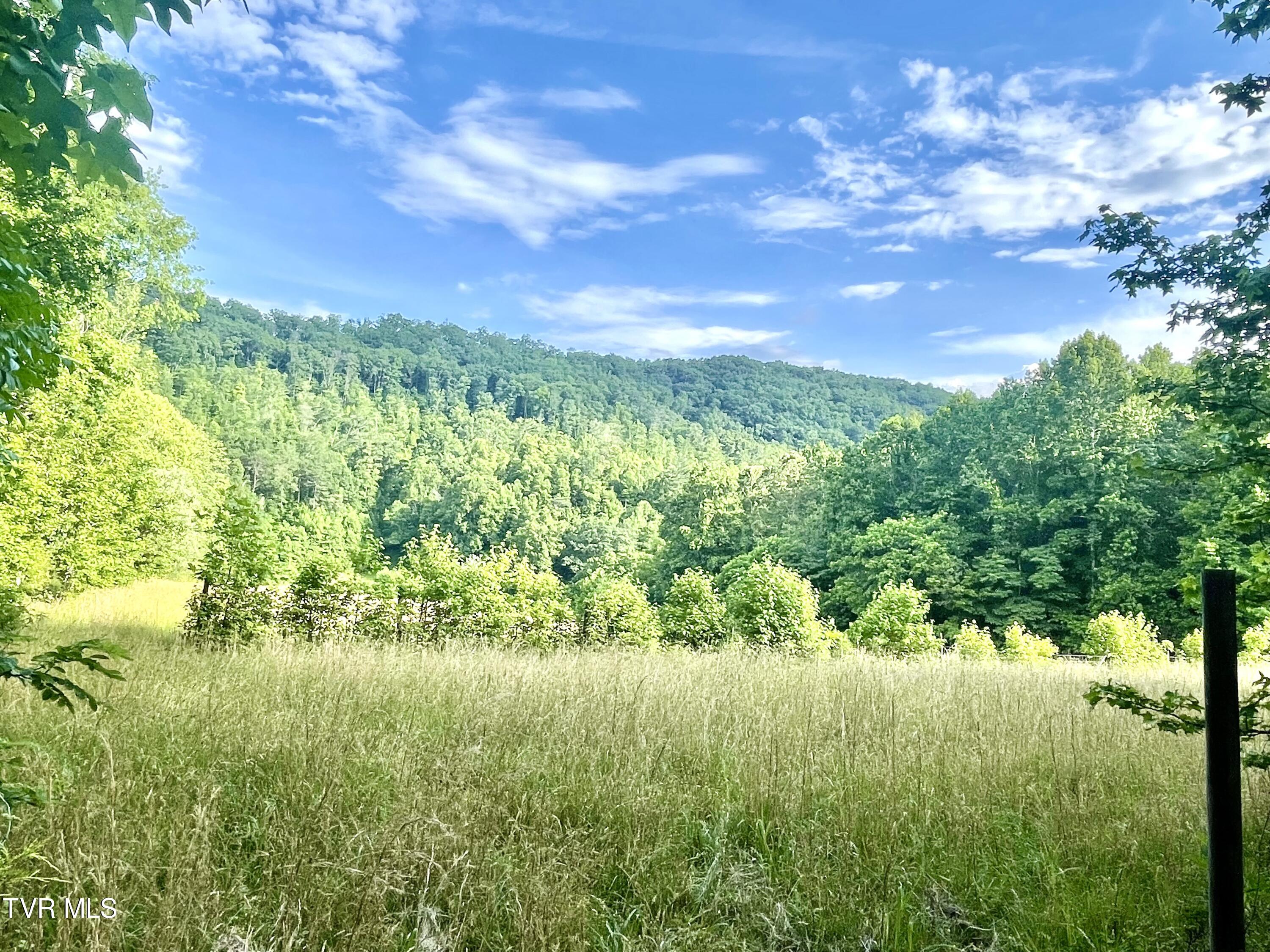 3323 Mendota Road Mendota, VA 24270 - Photo 29 of 85 image_50451713 (1)