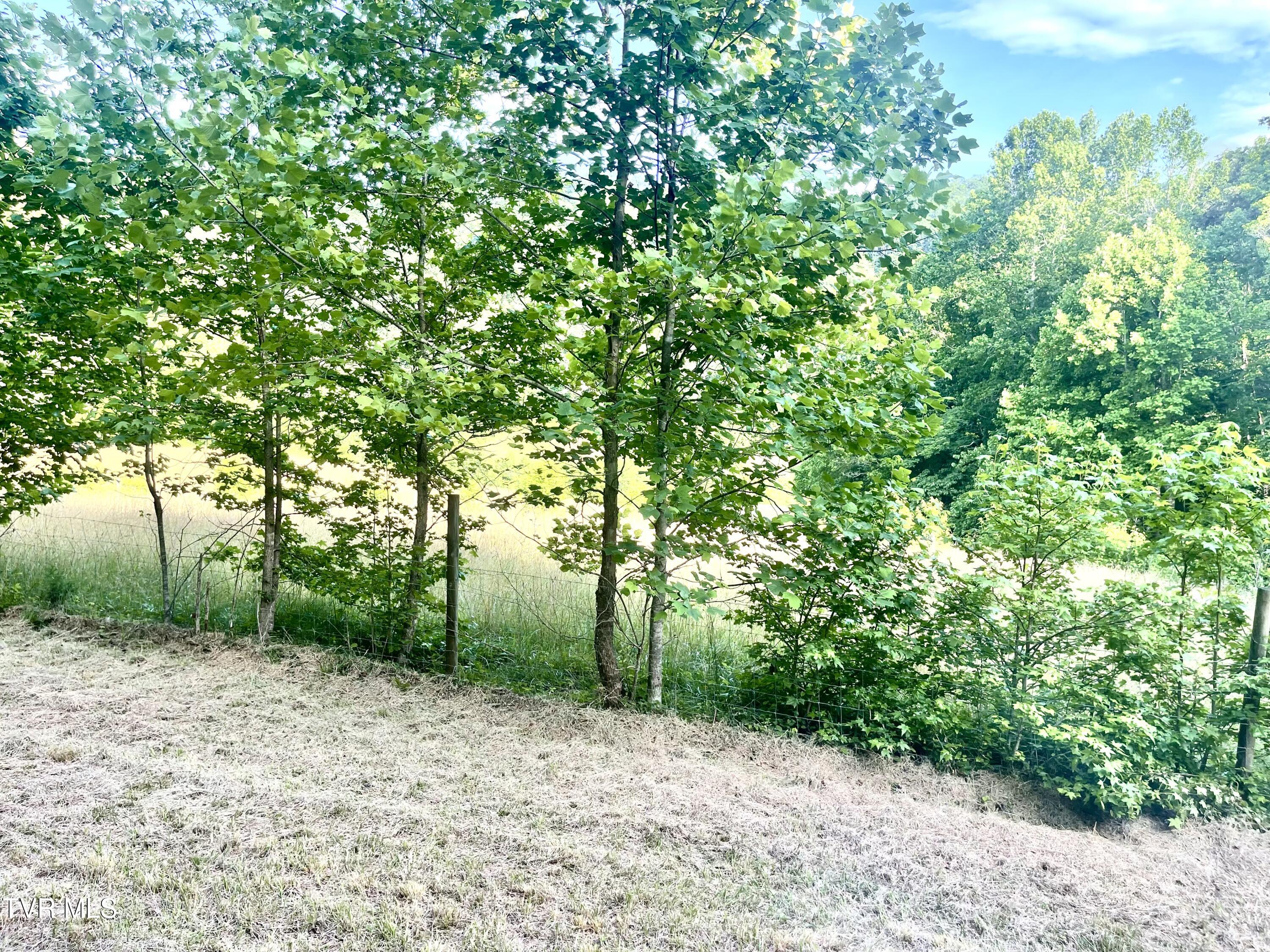 3323 Mendota Road Mendota, VA 24270 - Photo 32 of 85 image_50736385
