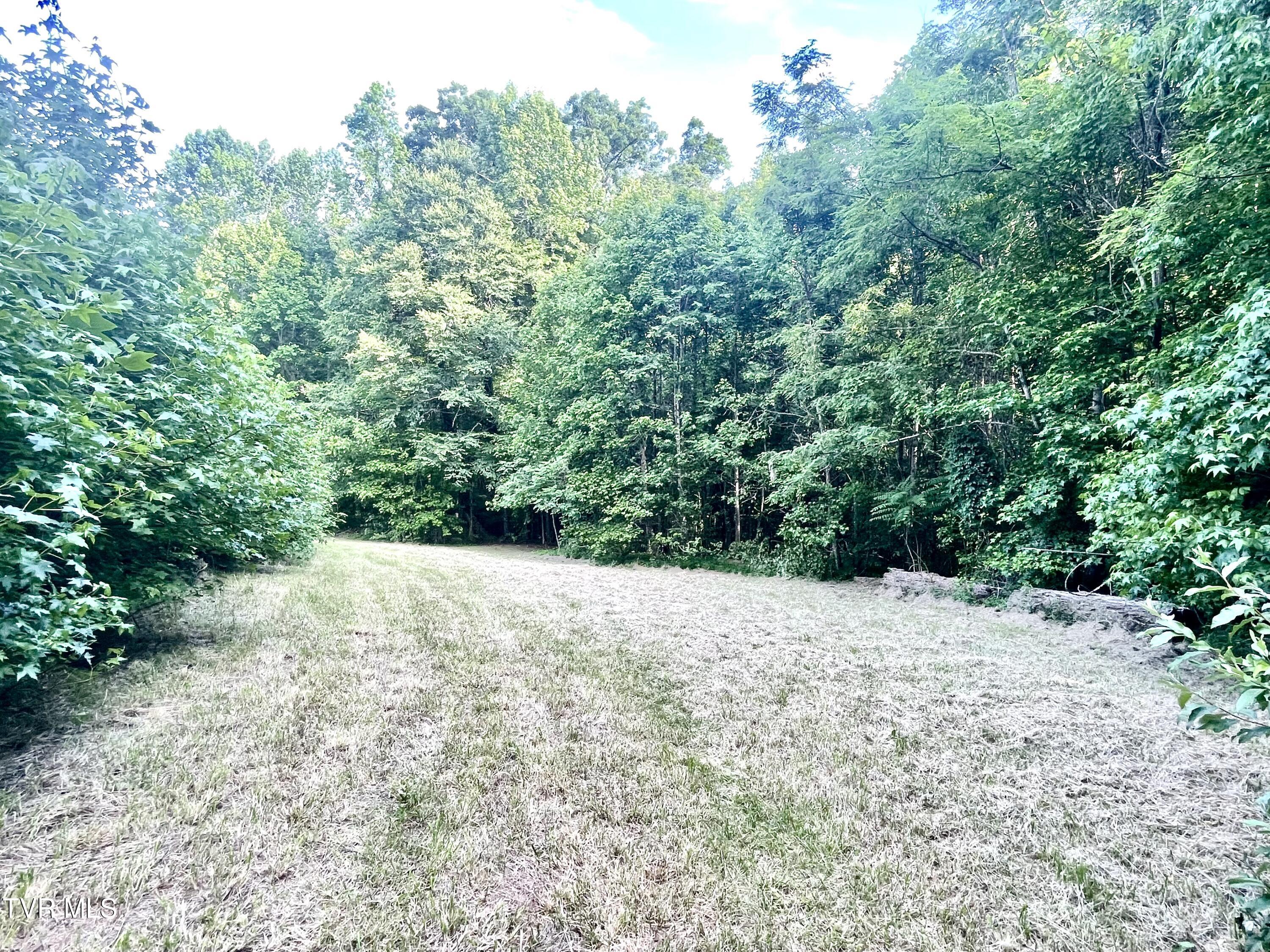 3323 Mendota Road Mendota, VA 24270 - Photo 33 of 85 image_50738433