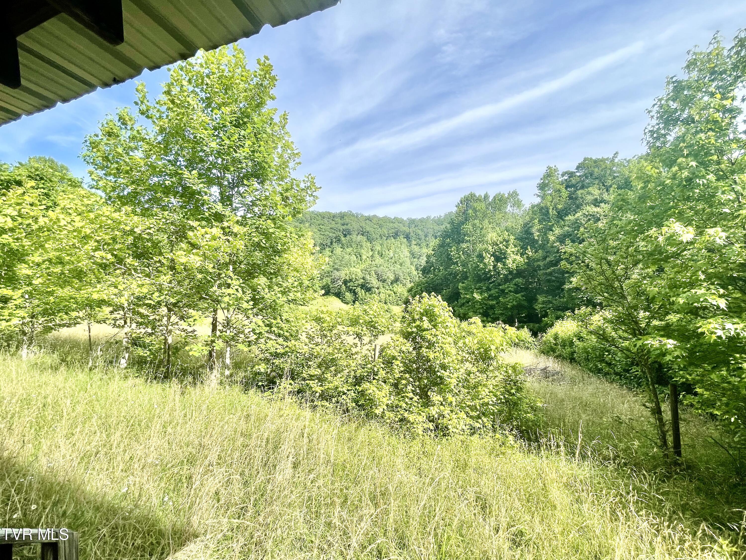 3323 Mendota Road Mendota, VA 24270 - Photo 43 of 85 image_50434049