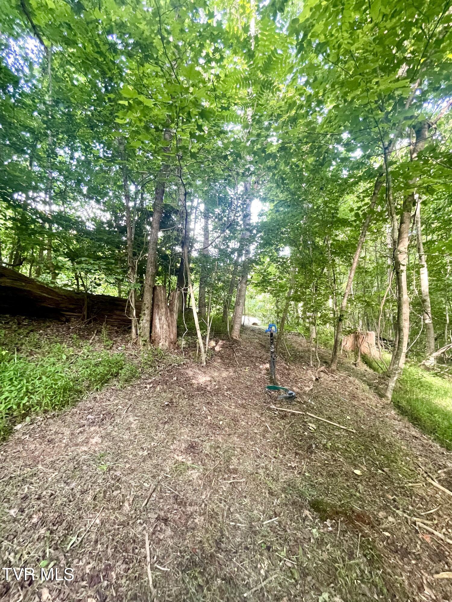 3323 Mendota Road Mendota, VA 24270 - Photo 44 of 85 image_50749441