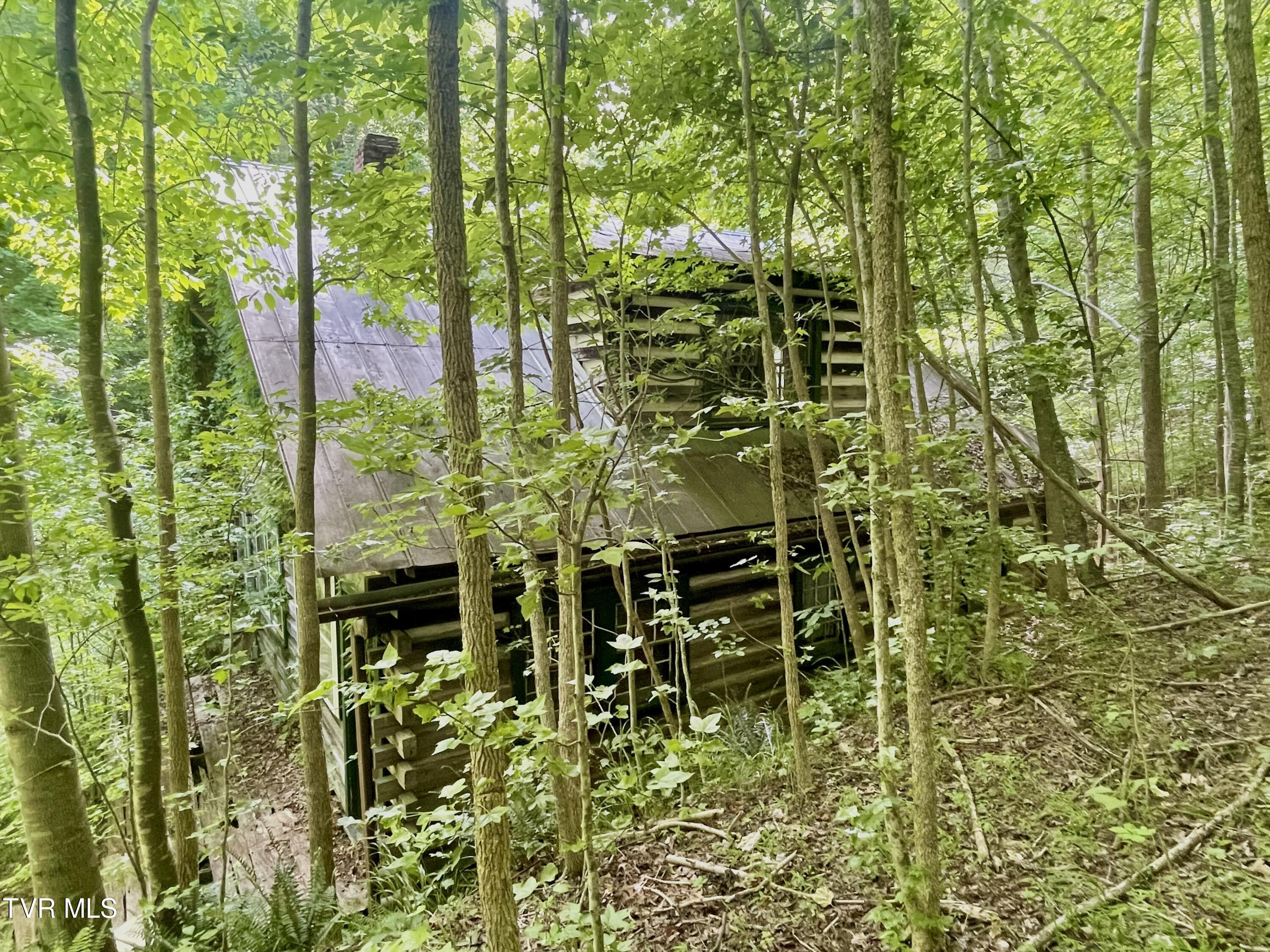 3323 Mendota Road Mendota, VA 24270 - Photo 48 of 85 image_50447361 (1)