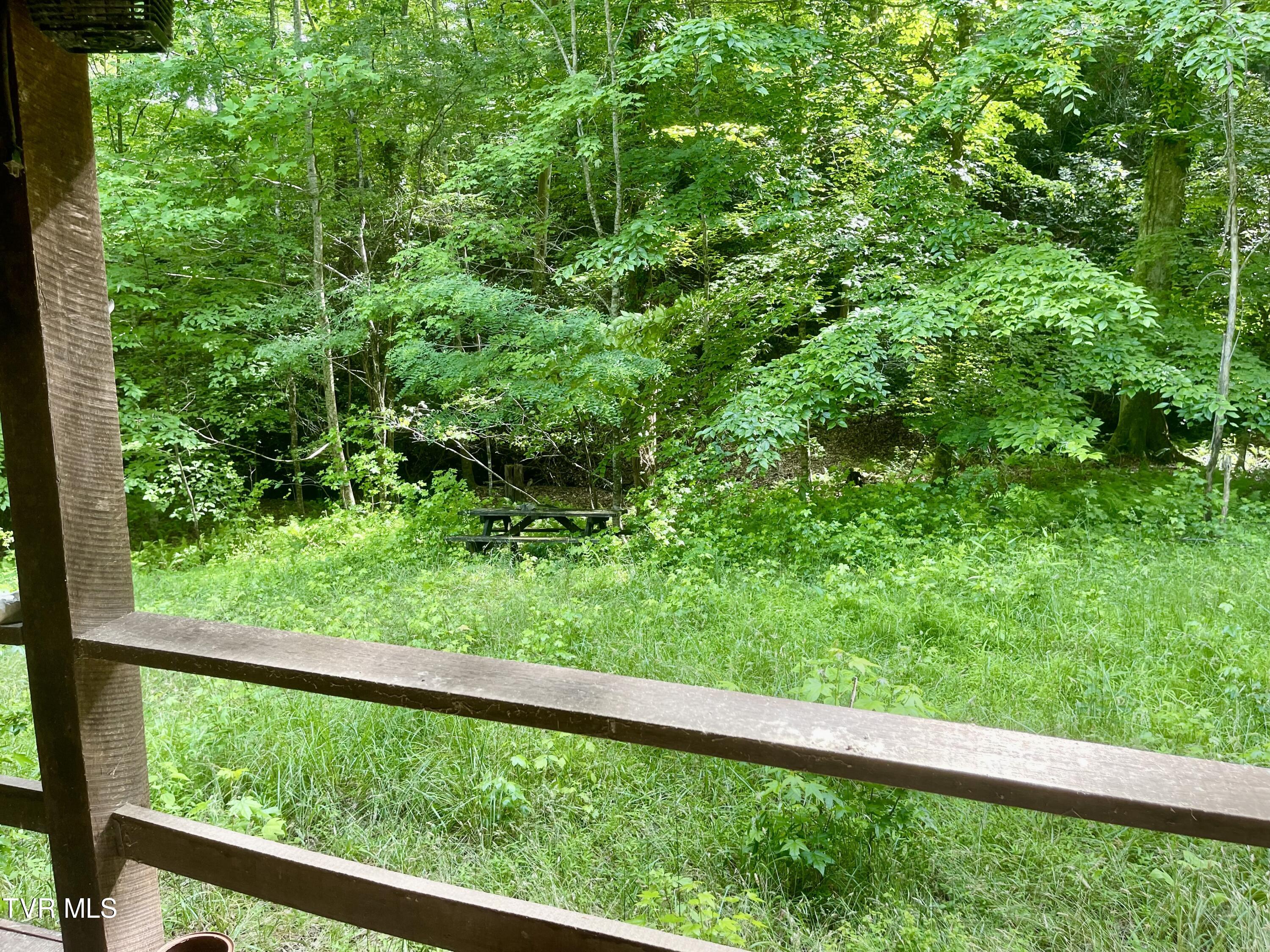 3323 Mendota Road Mendota, VA 24270 - Photo 57 of 85 image_50446337