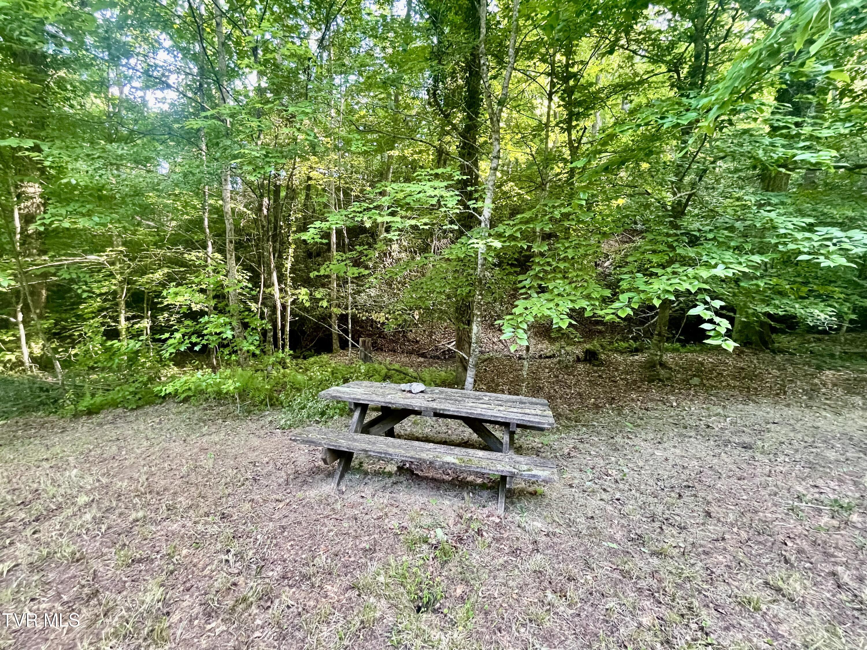 3323 Mendota Road Mendota, VA 24270 - Photo 58 of 85 image_50739969 (2)