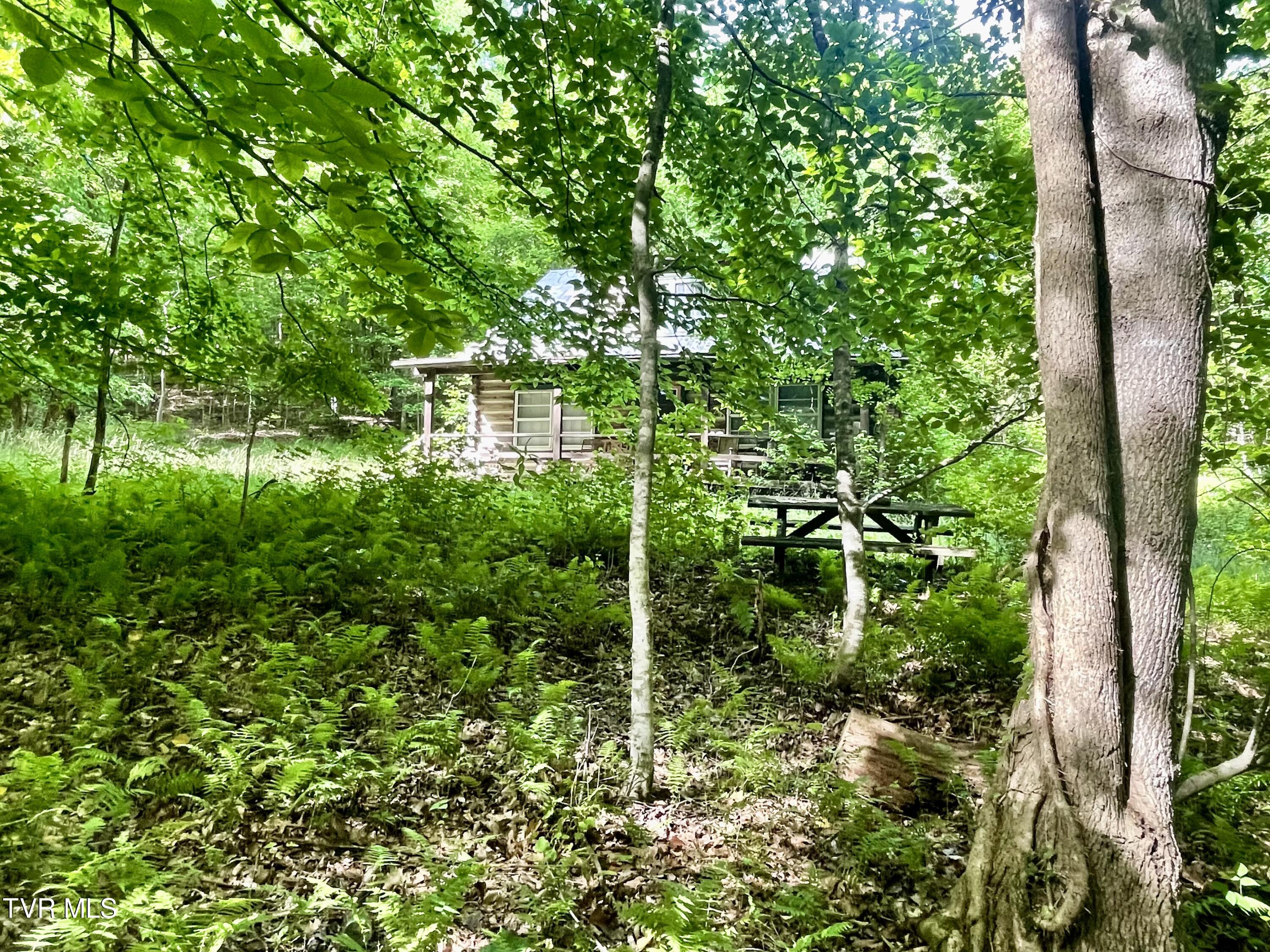 3323 Mendota Road Mendota, VA 24270 - Photo 59 of 85 image_50768897