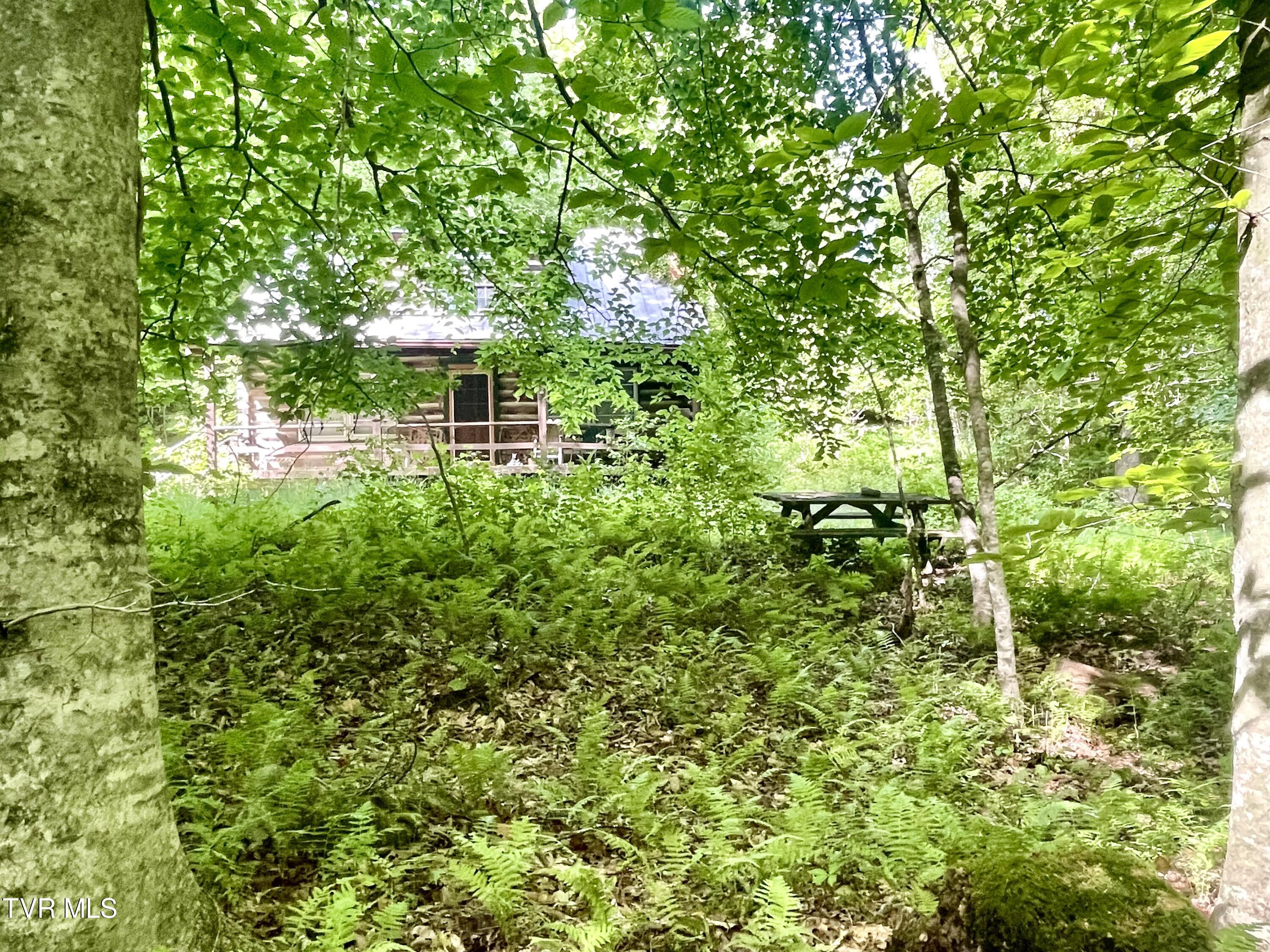3323 Mendota Road Mendota, VA 24270 - Photo 60 of 85 image_50743297