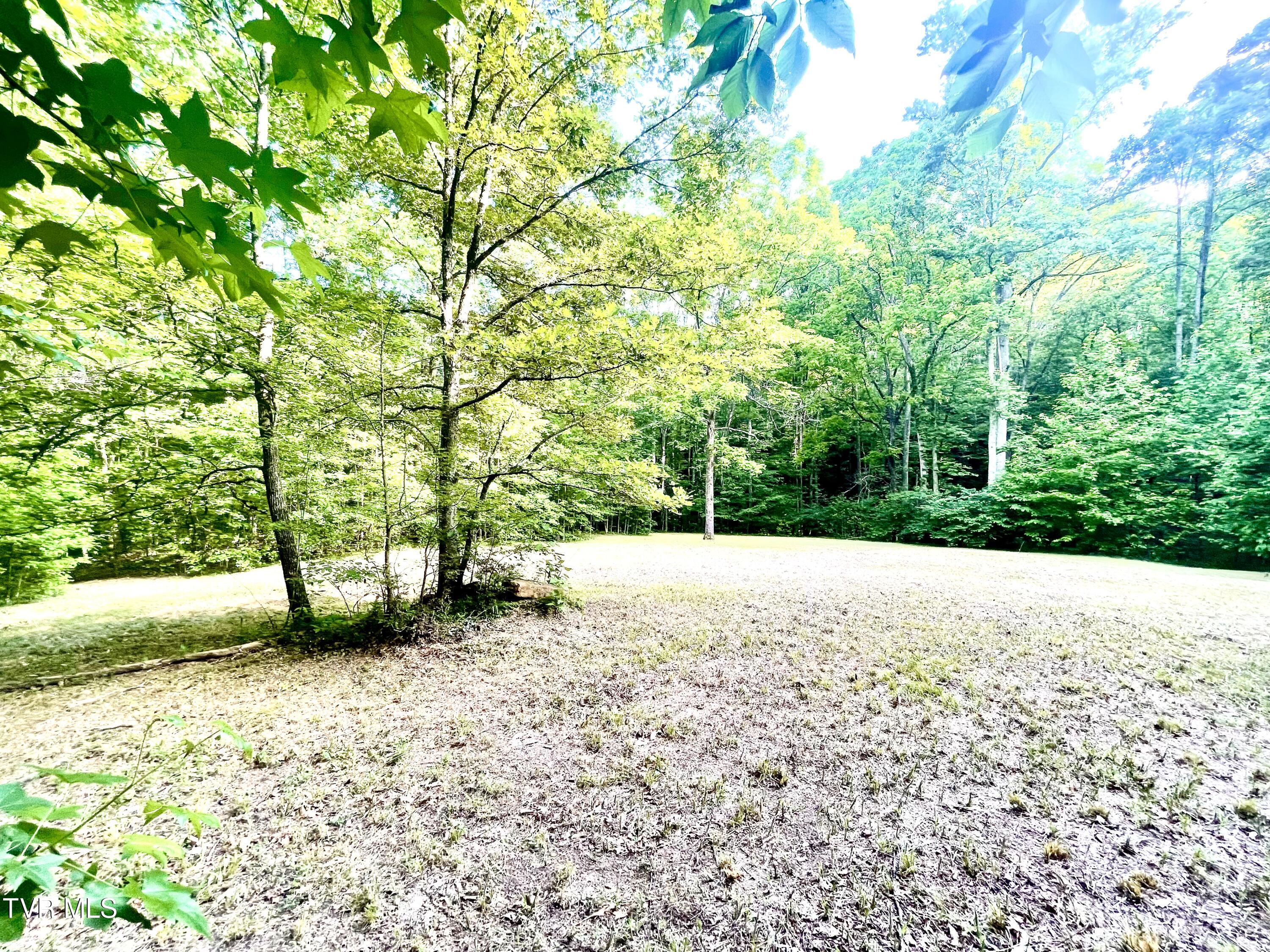 3323 Mendota Road Mendota, VA 24270 - Photo 79 of 85 image_50769921