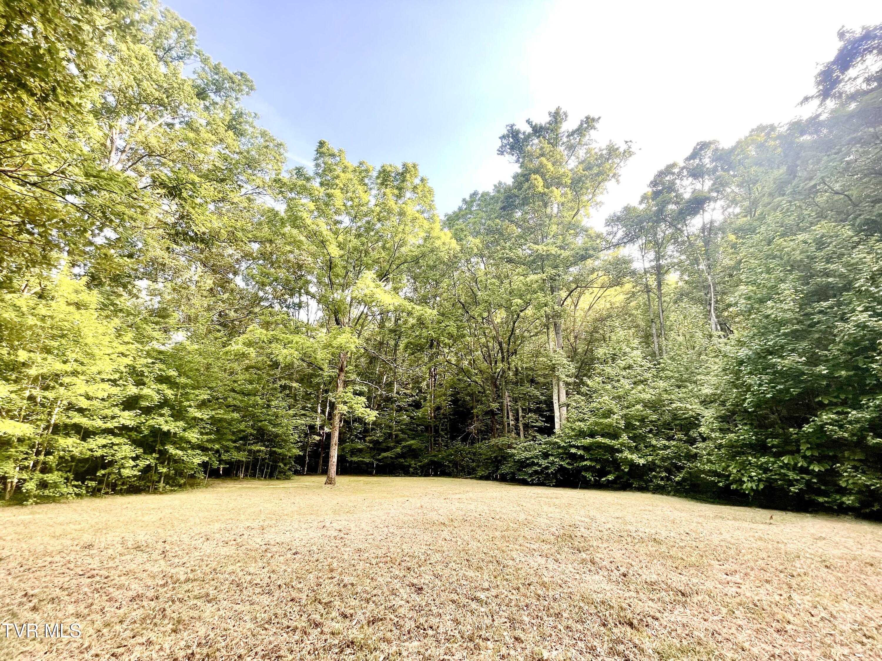 3323 Mendota Road Mendota, VA 24270 - Photo 82 of 85 image_50461697