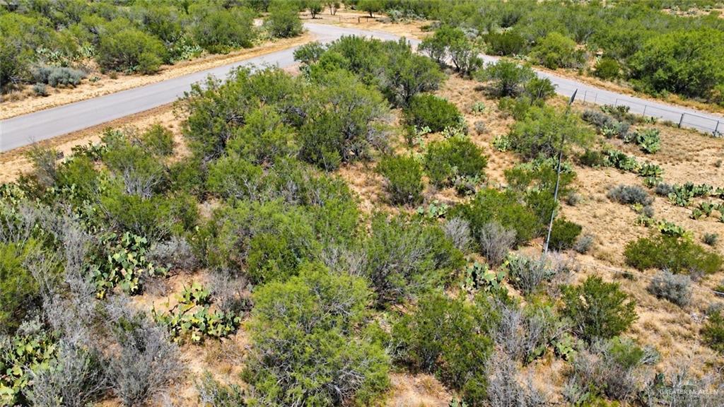 320 Raven Street Zapata, TX 78076 - Photo 2 of 4 Gallery Image 2
