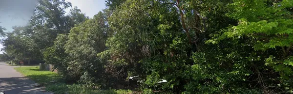 an outdoor space with lots of trees