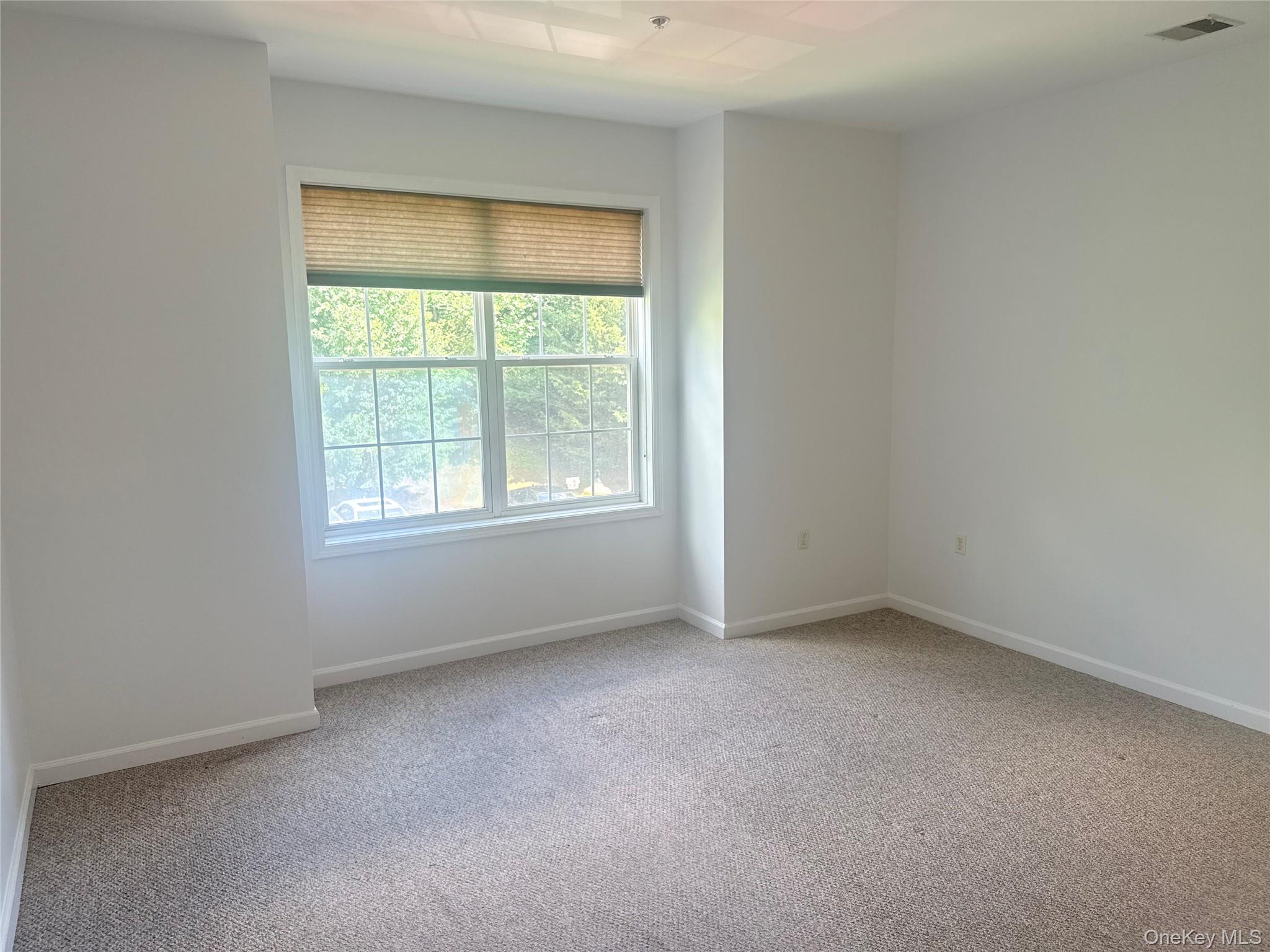 Room featuring neutral carpeting, white painted walls, a large multi-pane window, and a ceiling-mounted light fixture