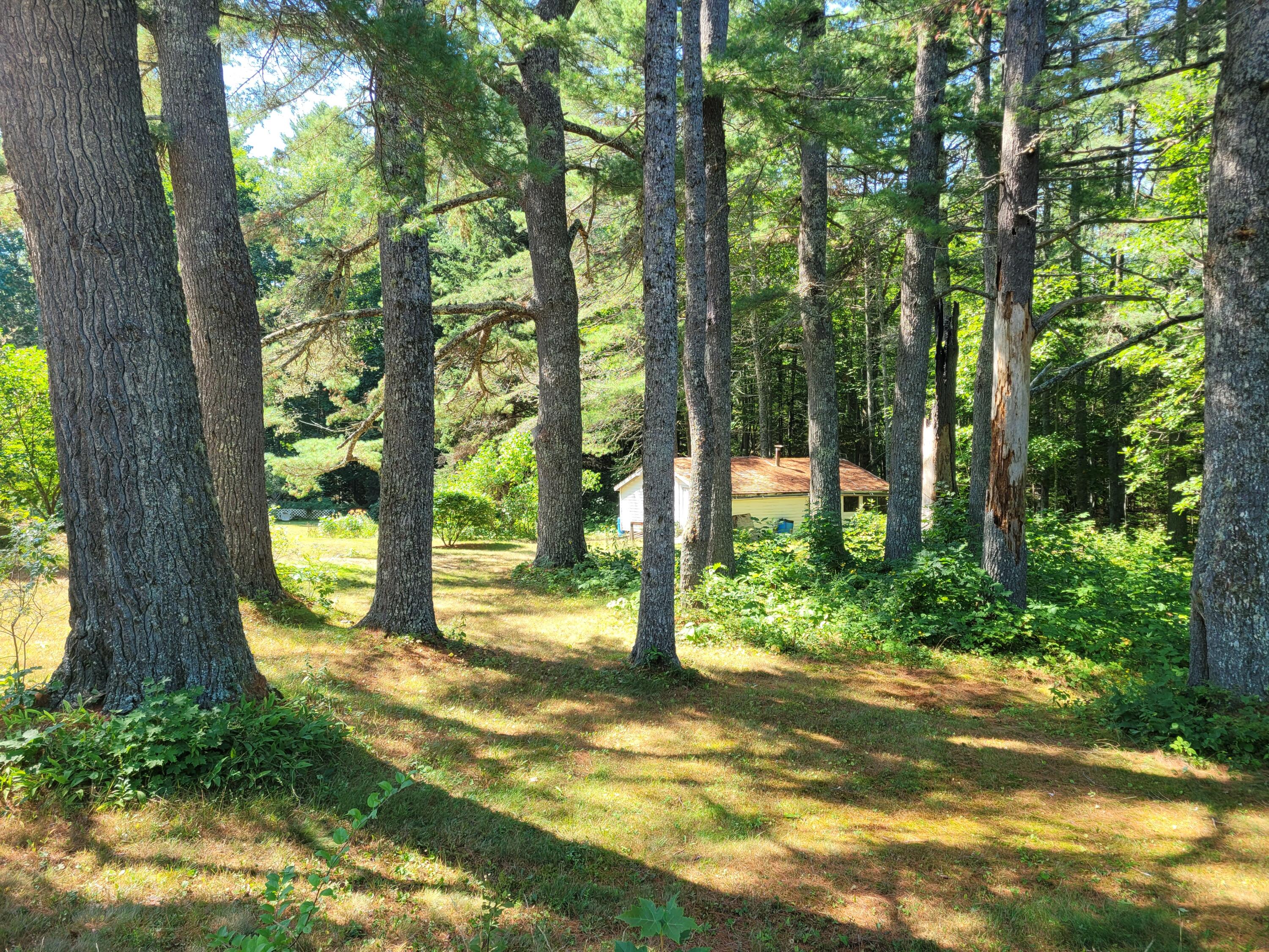 159 Hog Bay Road Franklin, ME 04634 - Photo 33 of 39 20220820_105144