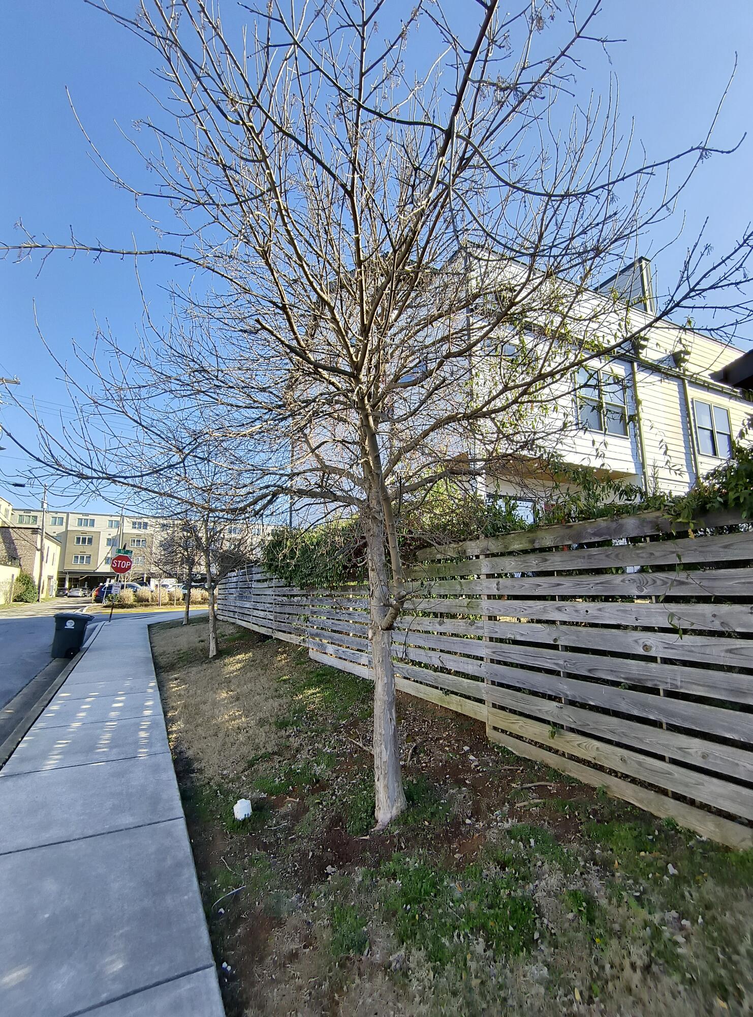 18 East 16th Street Chattanooga, TN 37408 - Photo 91 of 97 So Walkable !