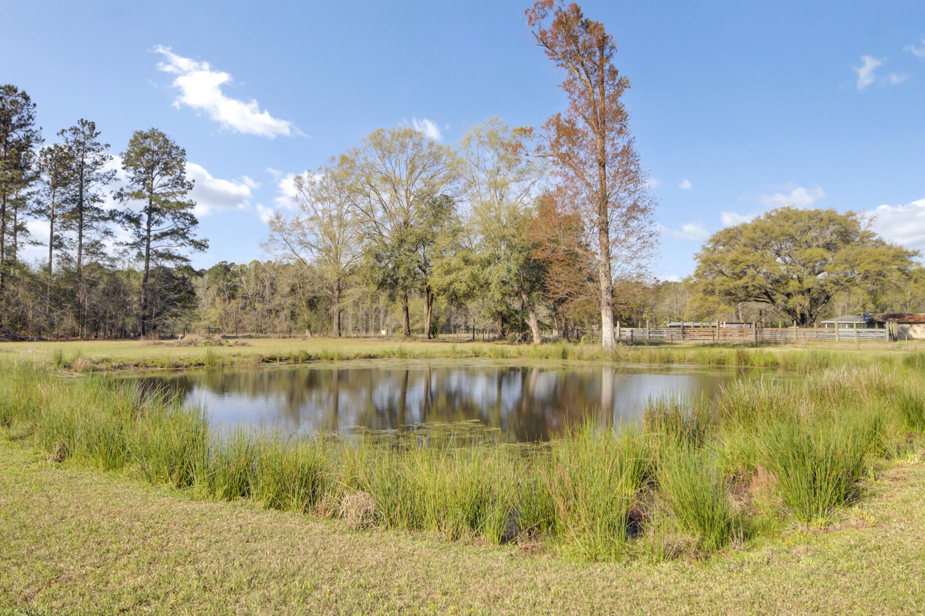 601 Enoch Road Ruffin, SC 29475 - Photo 47 of 47 60_60_mls