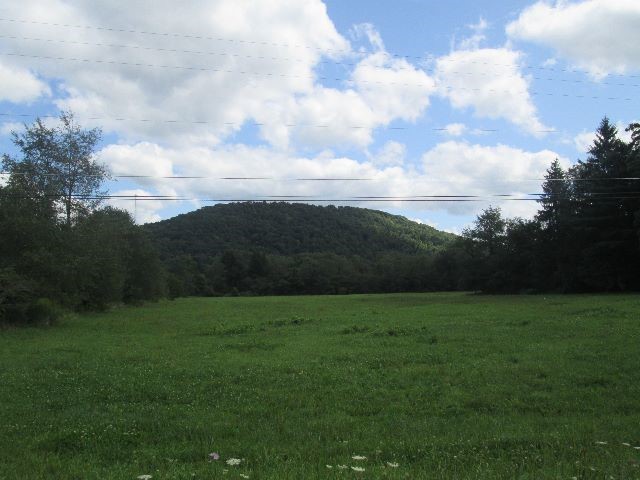 135 Lower Portage Road Port Allegany, PA 16743 - Photo 1 of 1