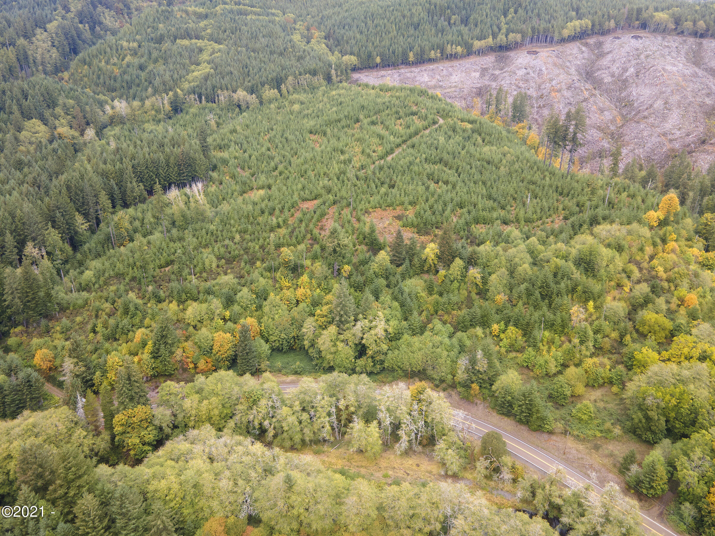 301 Upper Nestucca River Road Beaver, OR 97108 - Photo 1 of 14 DJI_0041
