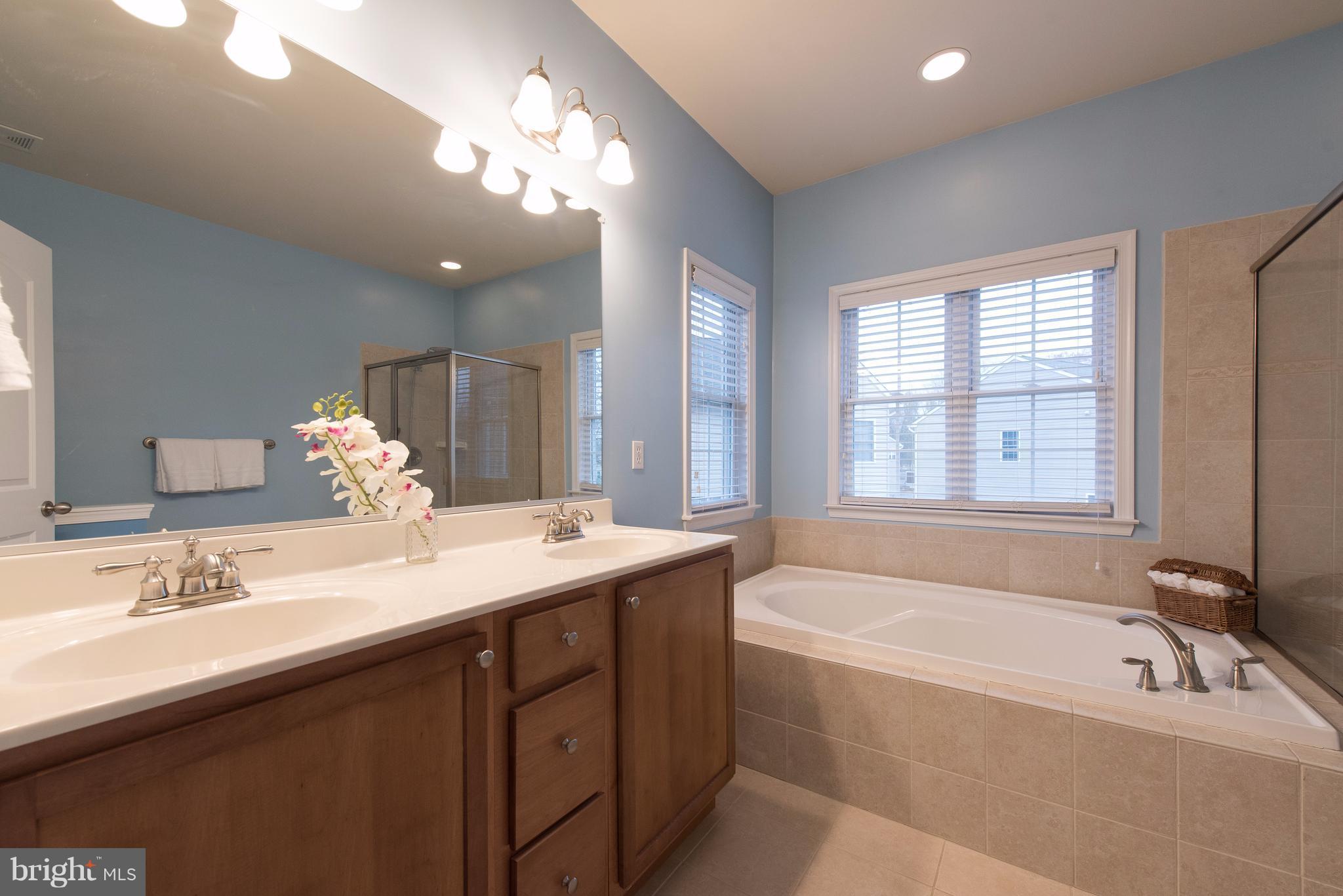 8293 WB&A Road Severn, MD 21144 - Photo 12 of 26 Bath (Master)