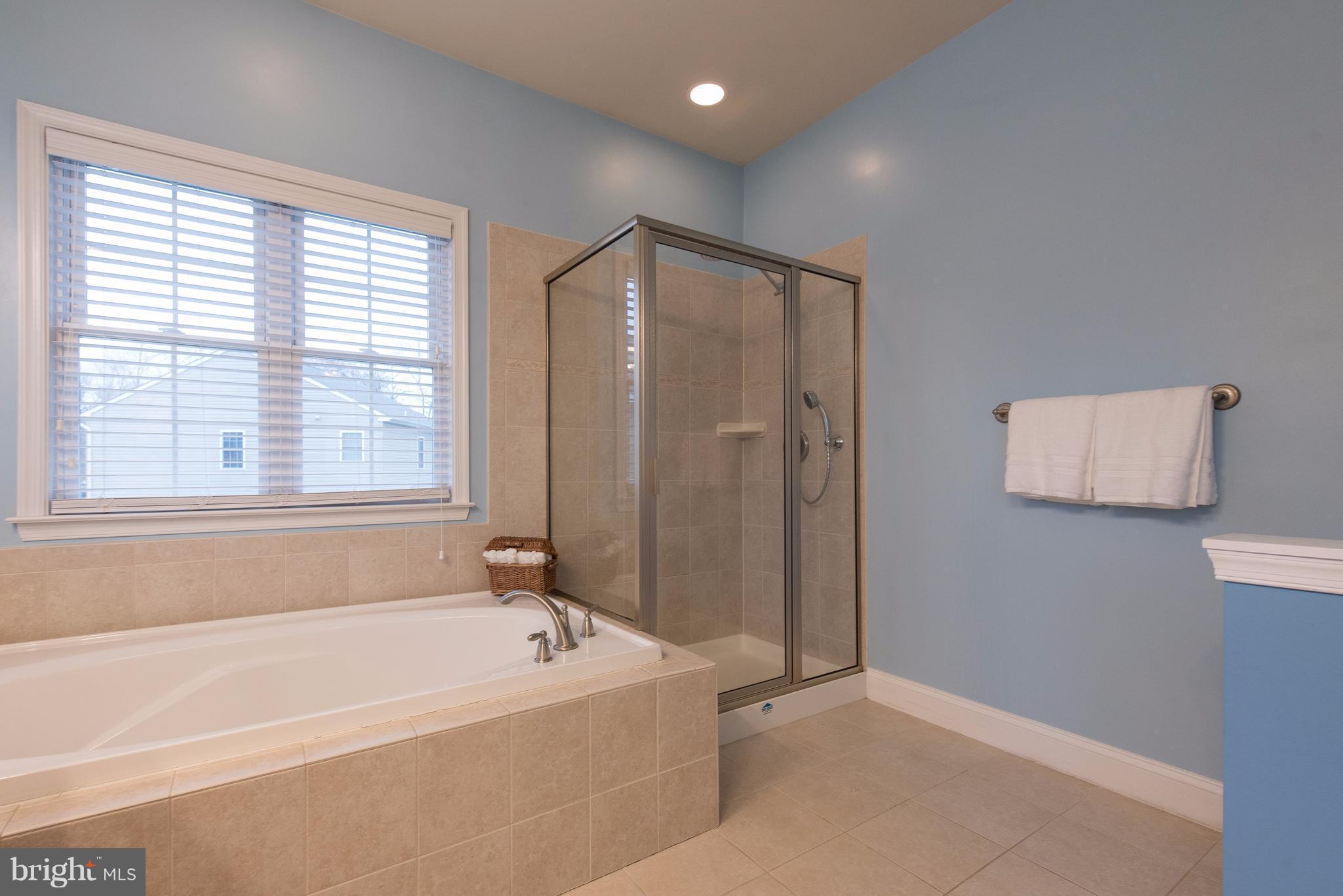 8293 WB&A Road Severn, MD 21144 - Photo 13 of 26 Bath (Master)