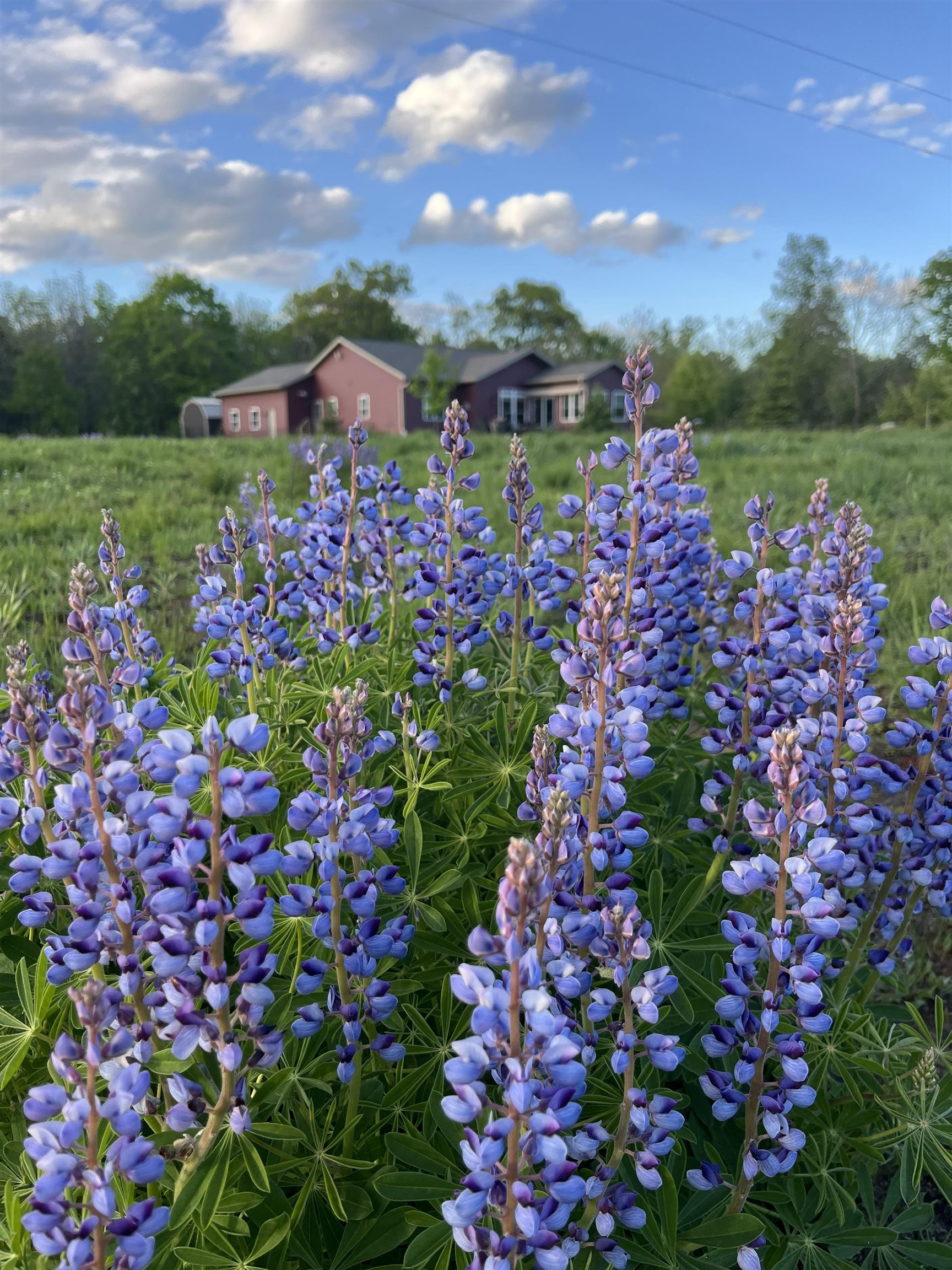 N4084 10th Drive Montello, WI 53949 - Photo 74 of 87