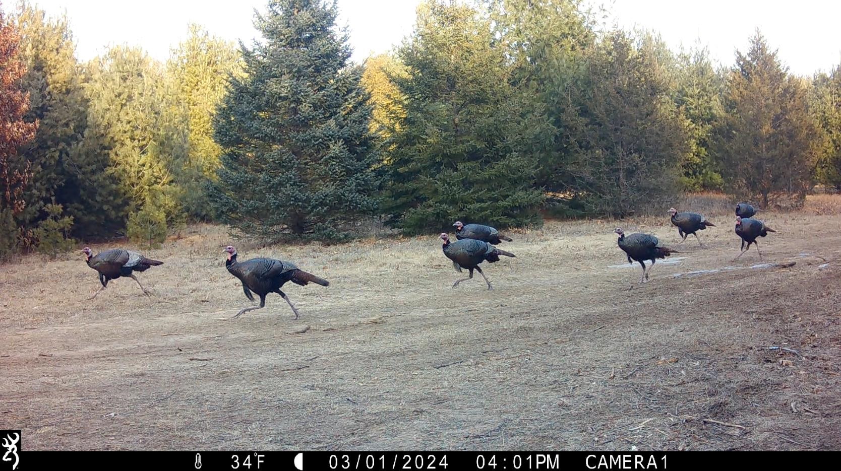 N4084 10th Drive Montello, WI 53949 - Photo 82 of 87