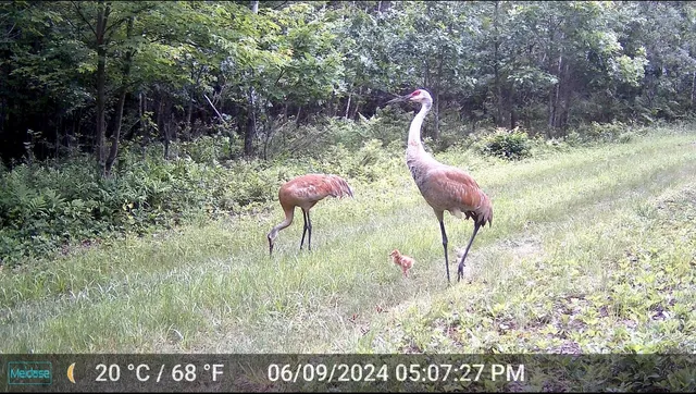 $1,100,000 | N4084 10th Drive, Montello, WI 53949