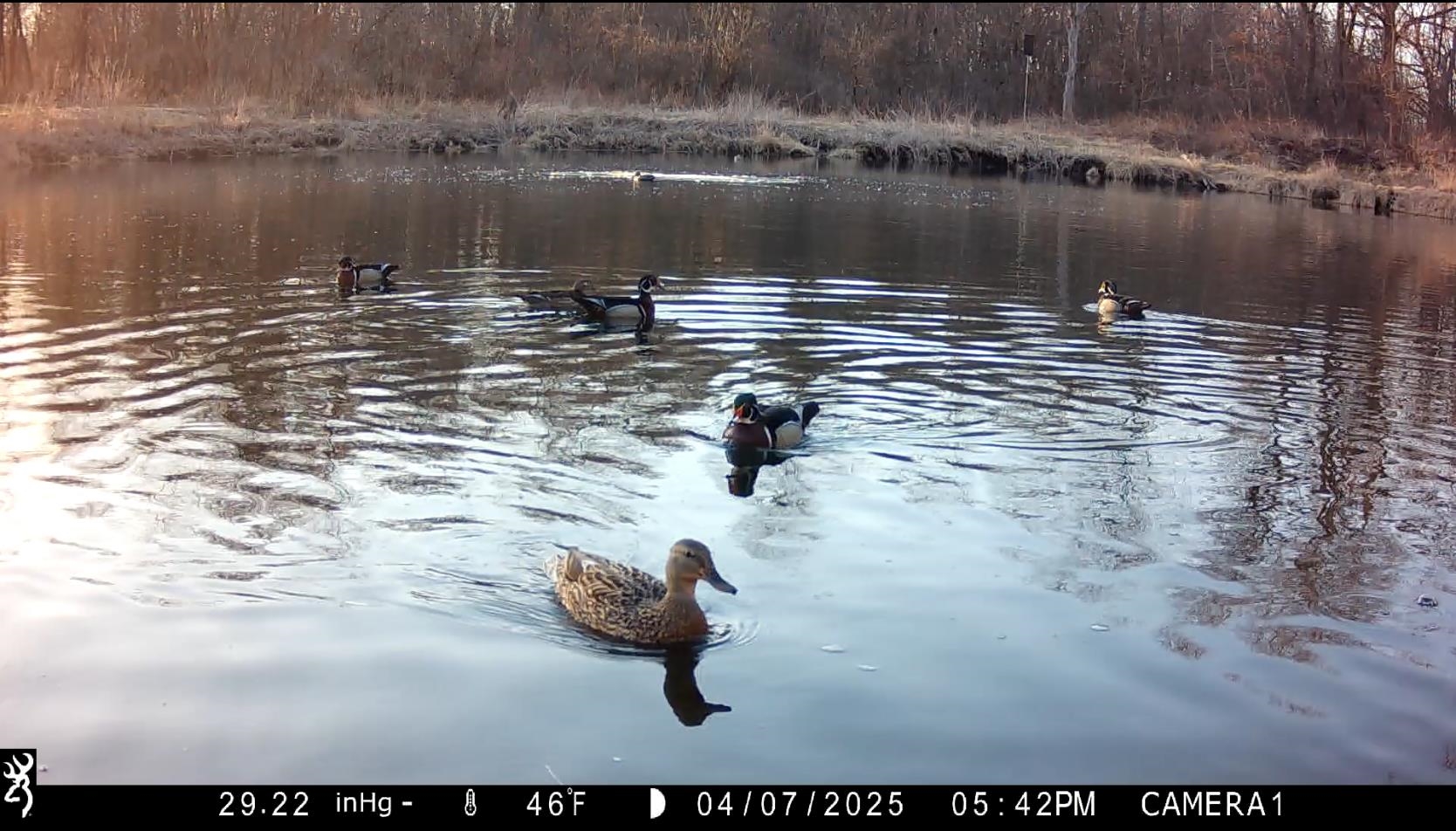 N4084 10th Drive Montello, WI 53949 - Photo 84 of 87