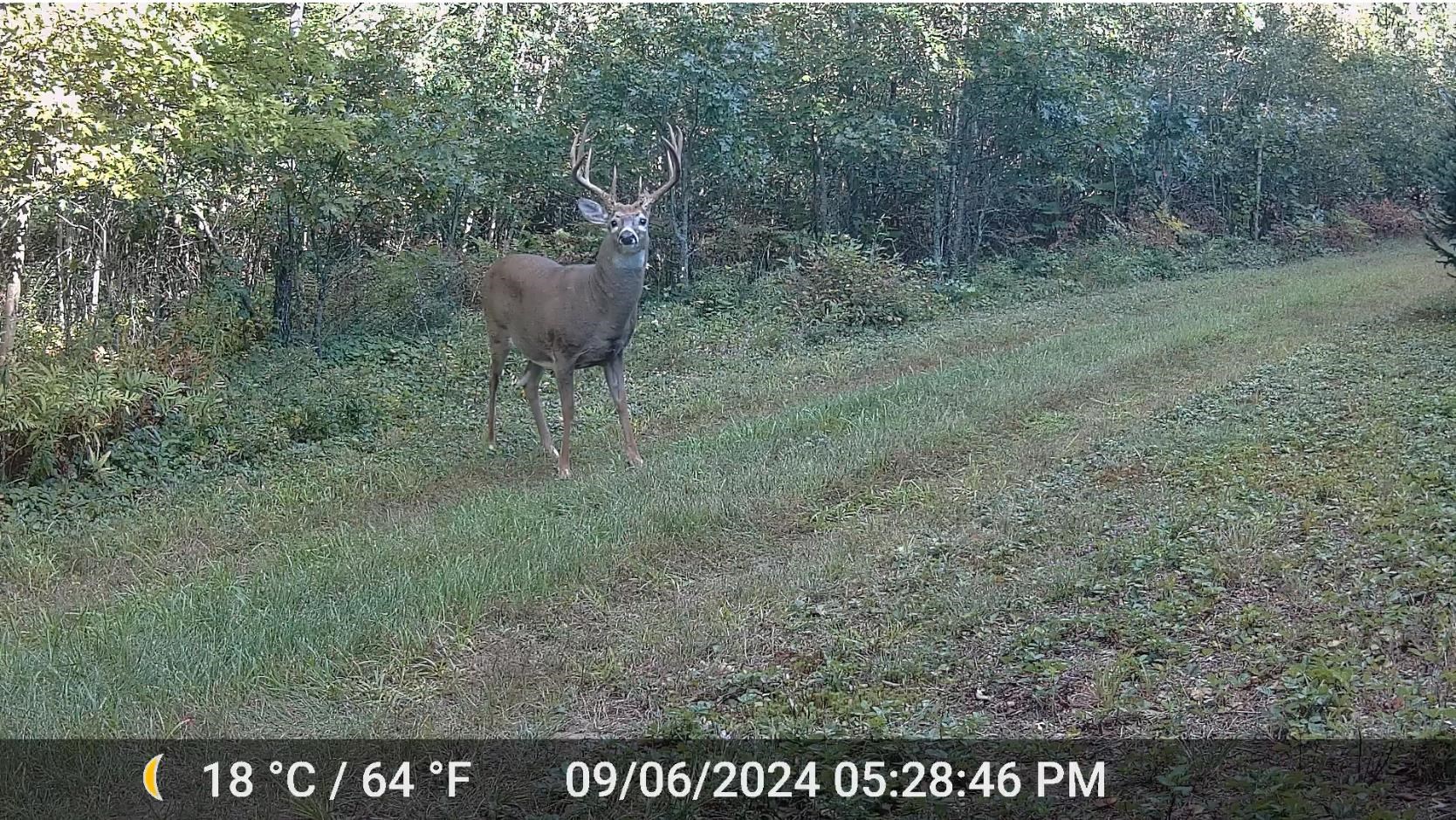 N4084 10th Drive Montello, WI 53949 - Photo 85 of 87