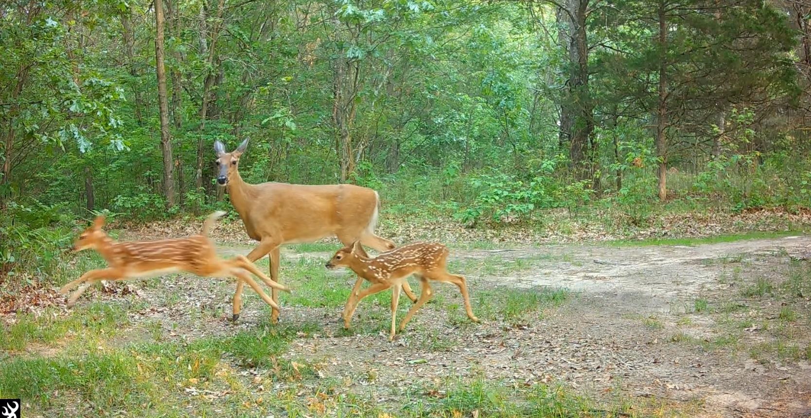 N4084 10th Drive Montello, WI 53949 - Photo 87 of 87