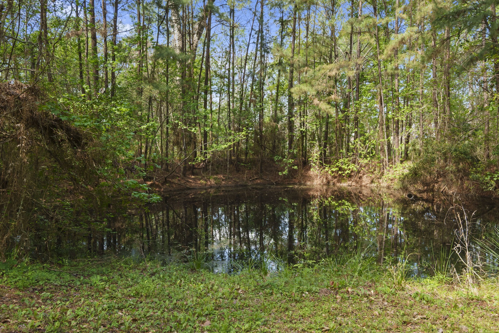15524 Jim Branch Road Dayton, TX 77535 - Photo 37 of 40 a backyard of a house with lots of green space and lake view