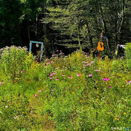 a picture of flowers