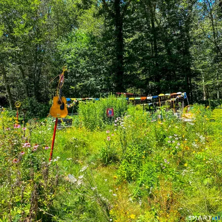 a backyard of a house with lots of green space and fountain in the back