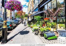 49 Galway Road Lillington, NC 27546 - Photo 38 of 39 a view of a chairs and tables in the patio