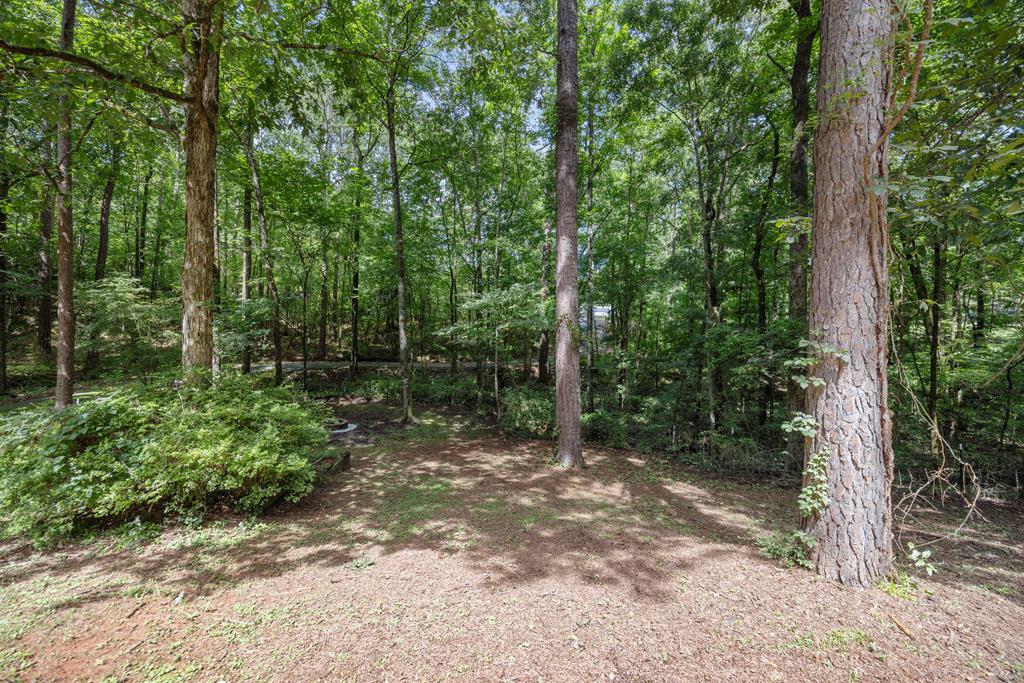 114 Squirrel Way Fortson, GA 31808 - Photo 33 of 39
