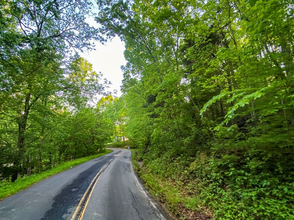 24 Fielden Store Road New Market, TN 37820 - Photo 7 of 30 Gallery Image 7