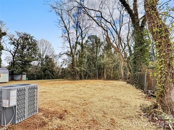 a street view with large trees