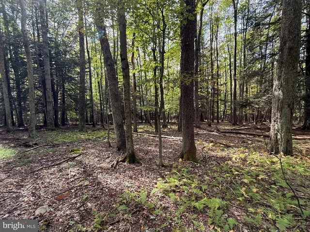 a view of outdoor space with trees