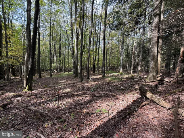 a view of outdoor space with trees