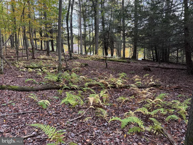 a view of outdoor space with trees