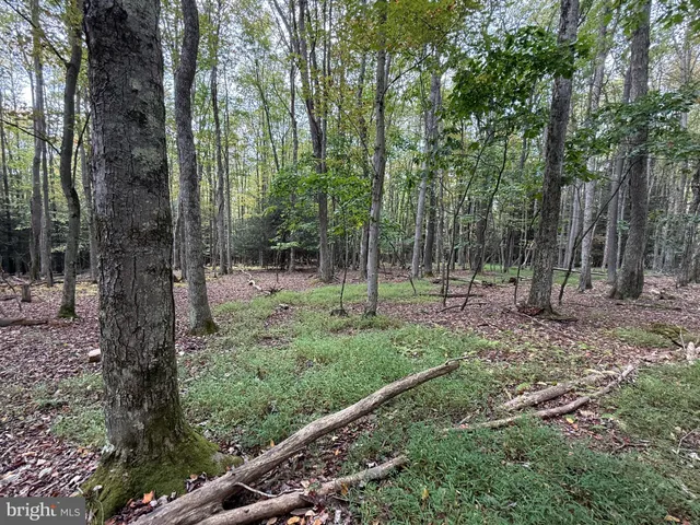 a view of outdoor space and garden