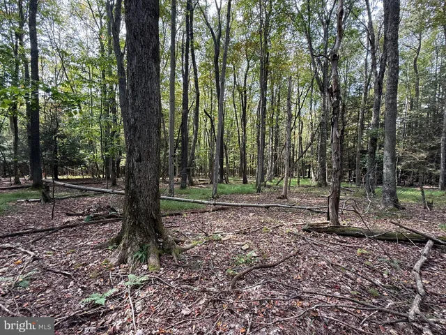 a view of outdoor space with lots of trees