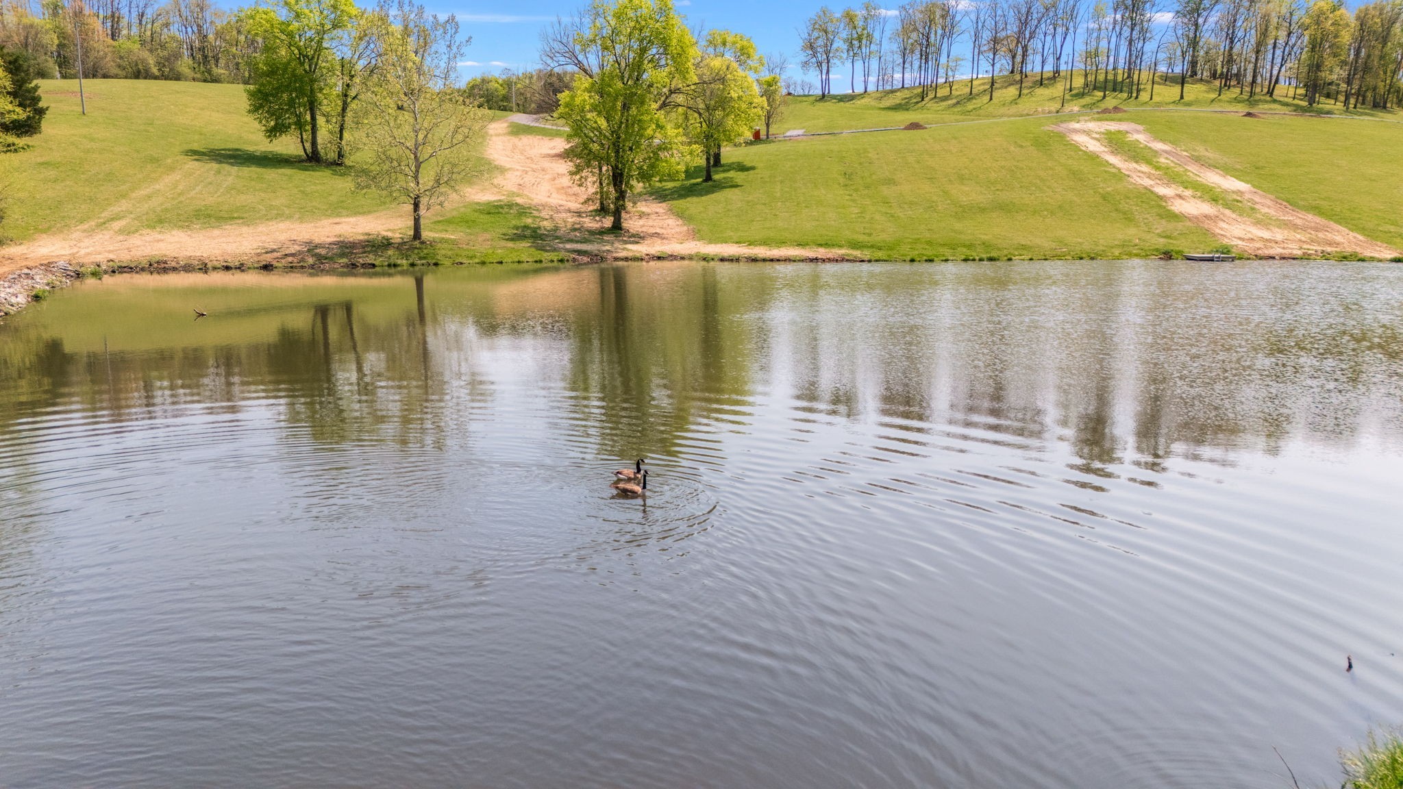 0 Whiteside Hill Road Wartrace, TN 37183 - Photo 36 of 38