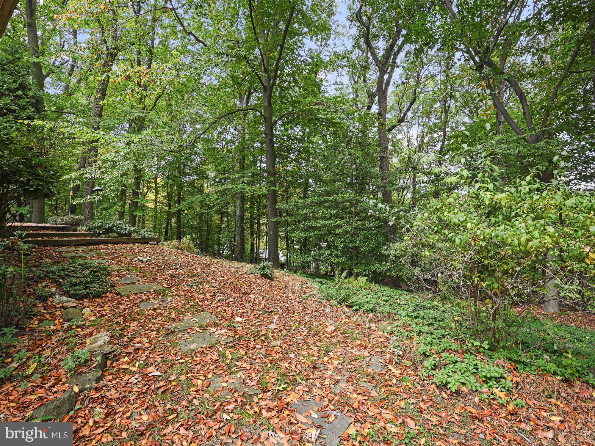 254 Upper Gulph Road Wayne, PA 19087 - Photo 44 of 57