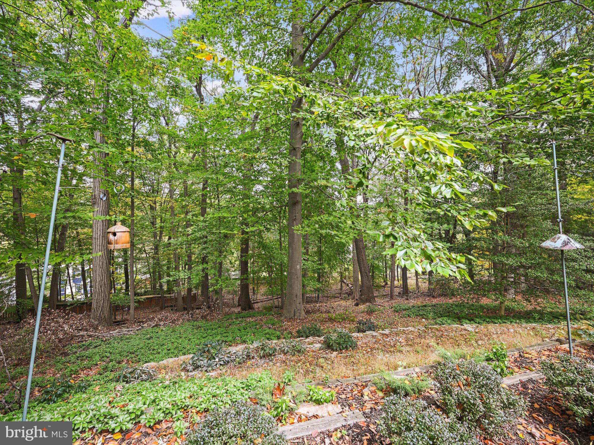 254 Upper Gulph Road Wayne, PA 19087 - Photo 46 of 57