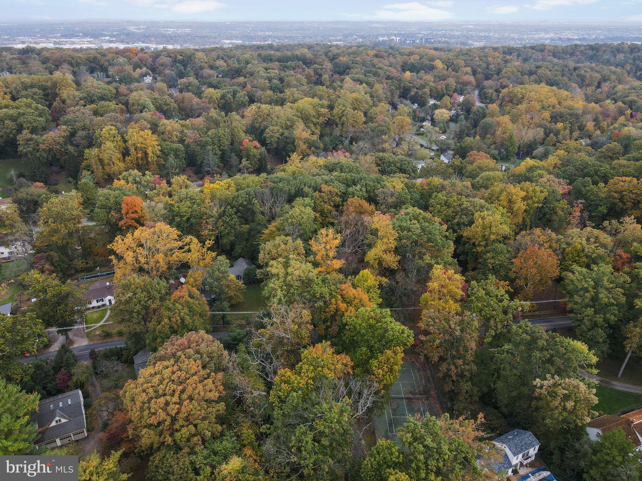 254 Upper Gulph Road Wayne, PA 19087 - Photo 47 of 57