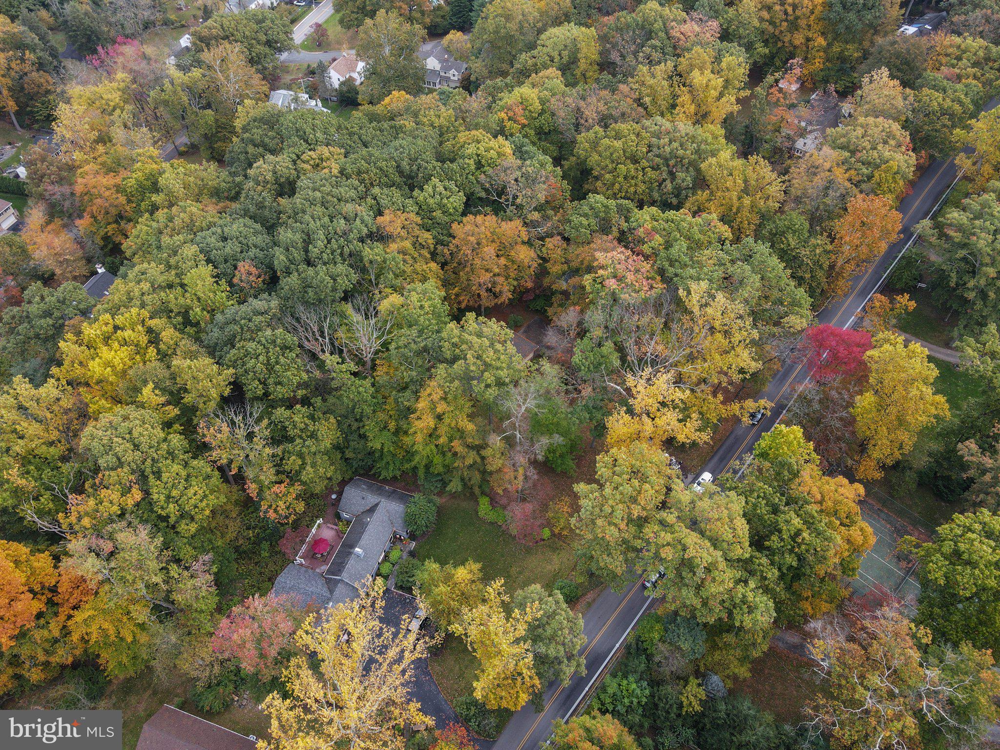 254 Upper Gulph Road Wayne, PA 19087 - Photo 49 of 57