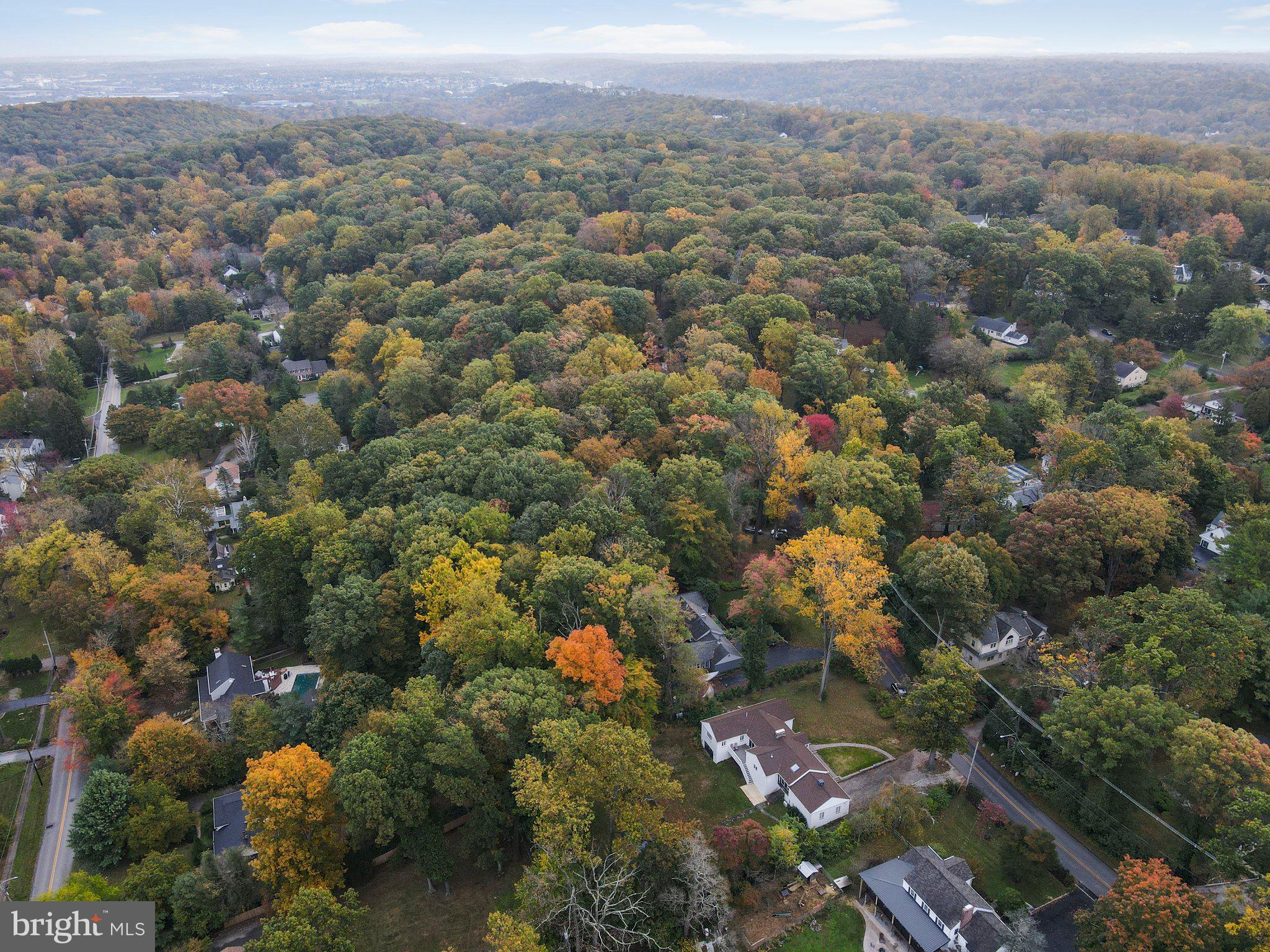 254 Upper Gulph Road Wayne, PA 19087 - Photo 51 of 57