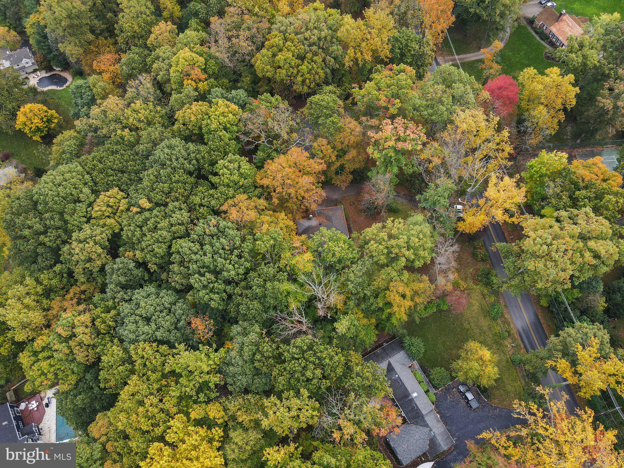 254 Upper Gulph Road Wayne, PA 19087 - Photo 52 of 57