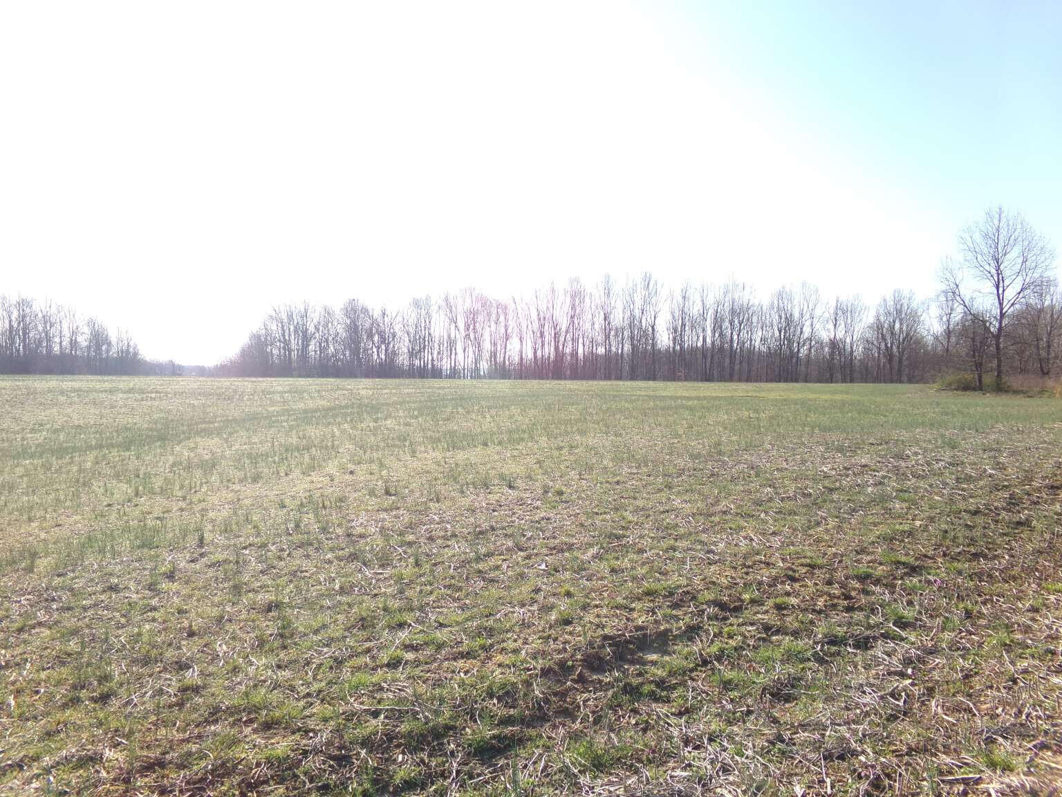 1235 Ewing Ridge Road Dunnville, KY 42528 - Photo 14 of 24 Gridler.12
